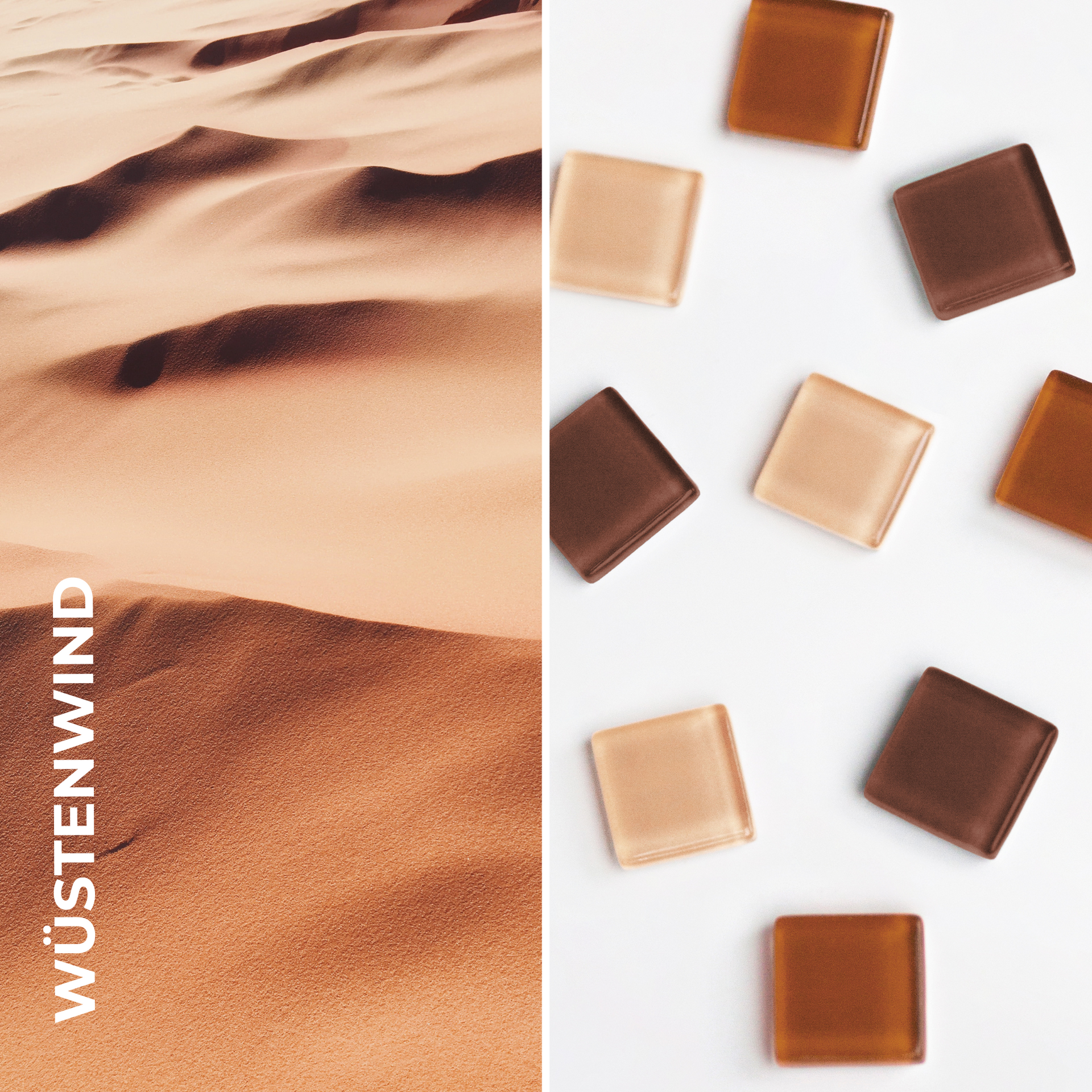 Foto von Glass Magnet Set • 9 Decorative Magnets Foto von Glass Magnet Set • 9 Decorative Magnets