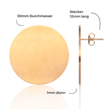 Foto von Large stainless steel earrings • 30mm