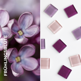 Foto von Glass Magnet Set • 9 Decorative Magnets