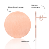 Foto von Large stainless steel earrings • 30mm