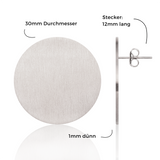 Foto von Large stainless steel earrings • 30mm