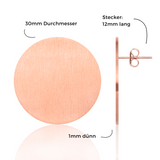 Foto von Large stainless steel earrings • 30mm